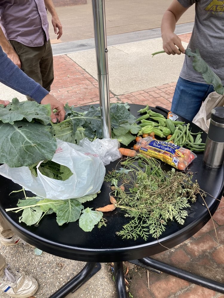 Garden harvest.