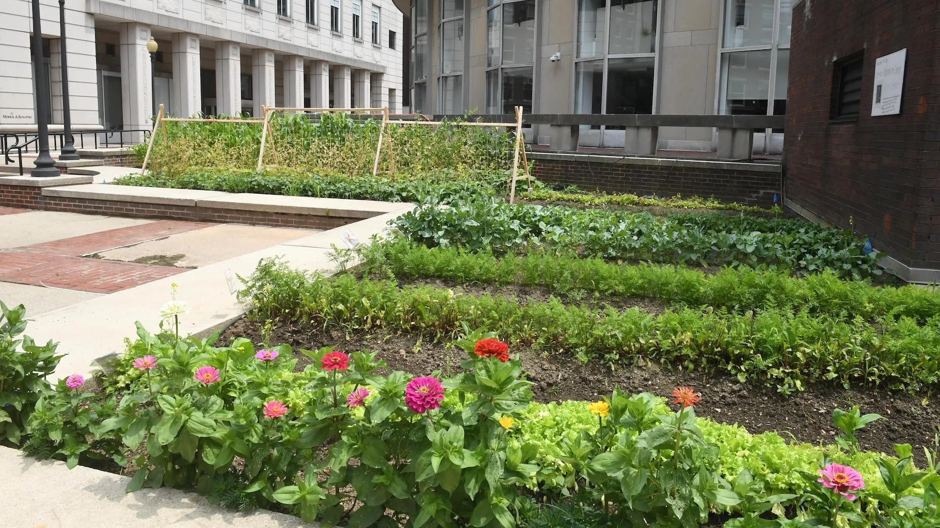 Columbia University Gardening Club